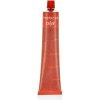 Inebrya Color Golden 7/3 Blonde 100 ml