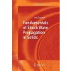 Fundamentals of Shock Wave Propagation in Solids (Lee Davison)(Brožovaná)