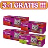 WHISKAS Sáčky pre dospelých 120x85g Klasické jedlá + 40x85g ZADARMO