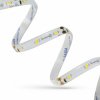 SPECTRUM - 1m LED pásik SMD 3528 - 4,4W/m - 380lm/m - 60LED/m- IP20 - 8mm - 12V - Teplá biela / 3000°K (5m kotúč)
