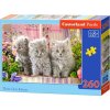 Puzzle 260 dielikov - Tri sivé mačiatka