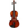 Valencia VA400M OUTFIT 15'' Viola