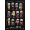 Ceduľa Types of Beer 30cm x 20cm Plechová tabuľa