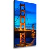 Vertikálny foto obraz na plátne Most San Francisco 50x100 cm