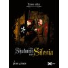 1428: Shadows over Silesia (PC)