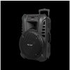 AZUSA Aktívny reproduktor 120W (s 2 bezdrôtovými mikrofónmi, SD, Bluetooth, USB) 15