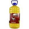Hyalgel Horse jablko 5l