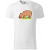 Kapybara a melón - Tričko z organickej bavlny - 2XL ( Biela )