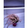 HIBRIGHT LED GROW trubica pre rast rastlín, 18W, 120 cm, plné spektrum - slabo ružová