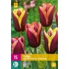 Karta XXL - Tulipán - My Favourite Topping (15 cibuľ) 