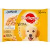 Pedigree Junior kuracie a morčacie mäso v želé 4 x 100 g