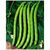 Bio fazuľa Neckarkönigin - Phaseolus vulgaris - predaj bio semien - 15 ks