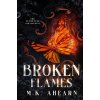 Broken Flames