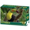 Puzzle 3D Tukan 100 dielikov
