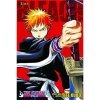 Bleach 3-in-1 Edition, Vol. 1