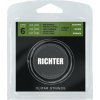 Richter Electric Guitar Strings Ion Coated Medium 10-46