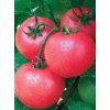 Semená paradajok PRE 0,5 g