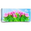 Sablio Obraz Ružové Tulipány - 110x50 cm