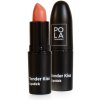 Pola Cosmetics Rúž Tender Kiss 3,8 g 106