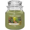 Svíčka ve skleněné dóze Yankee Candle, Podzimní procházka v přírodě, 410 g