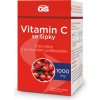 GS Vitamín C 1000 mg so šípkami 100 + 20 tabliet