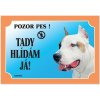 Dafiko Tabulka Tady bydlím já! amer.staffordšírský terier 1ks