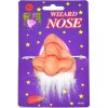 Nos čarodejnický