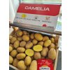 Zemiaky sadbové CAMELIA 5kg