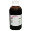 Dědek Kořenář Vrbovková zmes LVK 200 ml