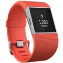 Fitbit Surge Small