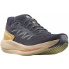 Salomon Spectur W - Ebony/Almond Cream/Leek Green 38