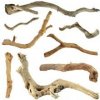 Abc-Zoo koreň Cuckoo Root Basic 15-30 cm