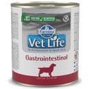 Vet Life dog Gastrointestinal 300 g