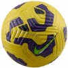 Nike PREMIER ACADEMY PLUS