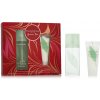 Elizabeth Arden Green Tea SET1 Darčeková kazeta parfumovaná voda 100 ml + telový krém Honey Drops 10 variant Red With Flower Cover