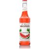 Monin Barmanský sirup Melón vodný 700 ml do limonád a koktailov (Watermelon)