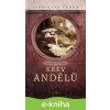 E-kniha Krev andělů - Jaroslava Černá