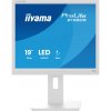 IIYAMA ProLite B1980S-W1 B1980S-W1 - Monitor