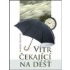 Vítr čekající na déšť - Neubert Robert