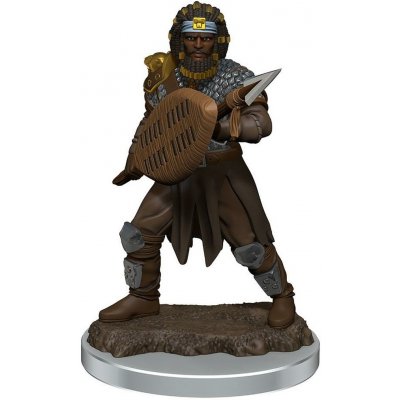 WizKids D&D Icons of the Realms Premium Figures: Male Human Fighter