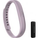 Fitbit Flex 2