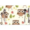 Sablio Prestieranie Sovy: 40x30cm