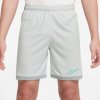 Nike Academy 25 Dri-Fit Shorts | HJ3718-025 | Šedá | L