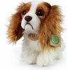 Plyšový pes king charles spaniel 25 cm ECO-FRIENDLY