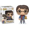 Funko POP! Harry Potter Holiday Harry Potter