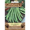 Fazuľa kríčková zelená NOVORES MoravoSeed