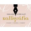 Kalligráfia. 15 feladat, 15 technika, 15 variáció