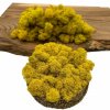 Stabilizovaný mach - lišajník - žltá 1kg