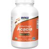 NOW Foods Acacia Fiber Organic Powder 340 g