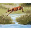 zuty Zuty - Maľovanie Podľa Čísel - Srna Skákajúce Cez Vodu (D. Rusty Rust), 40X50 Cm, Plátno (8596530165644)